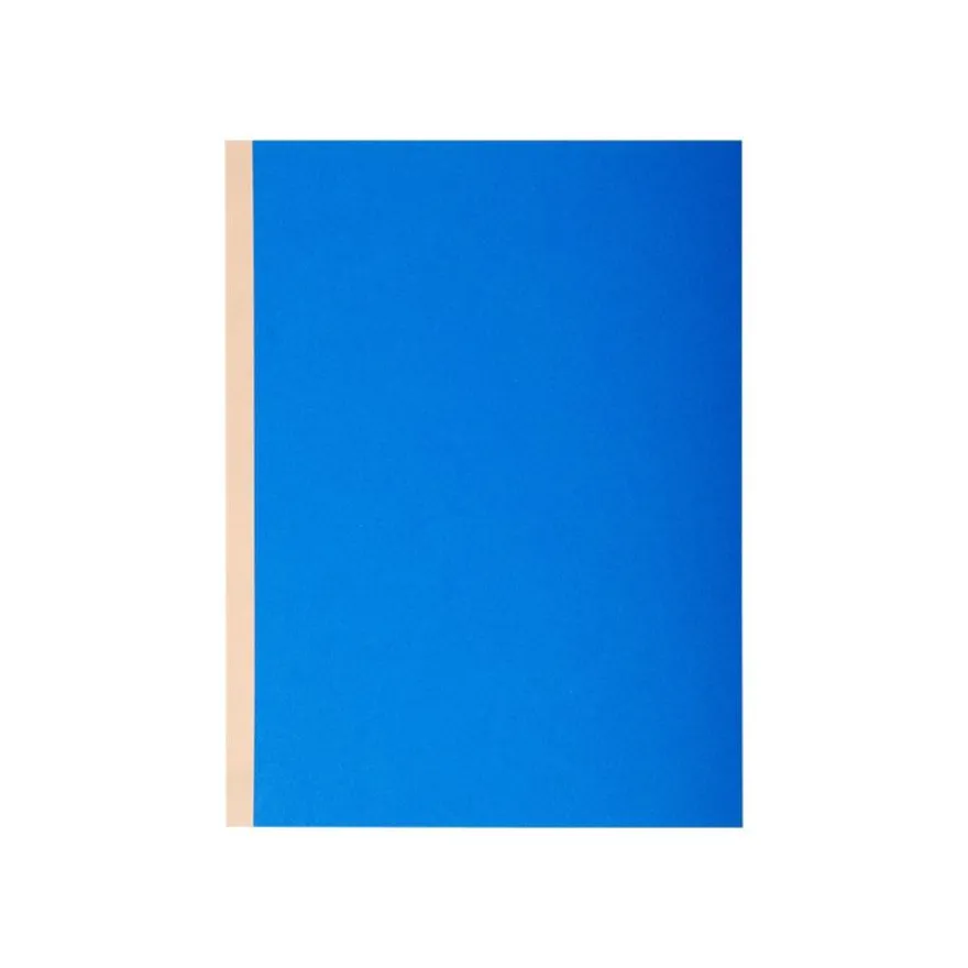 Exacompta Forever - 10 Chemises à soufflet - 320 gr - couleurs assorties