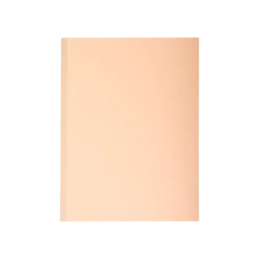 Exacompta Forever - 10 Chemises à soufflet - 320 gr - couleurs assorties