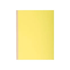 Exacompta Forever - 10 Chemises à soufflet - 320 gr - couleurs assorties