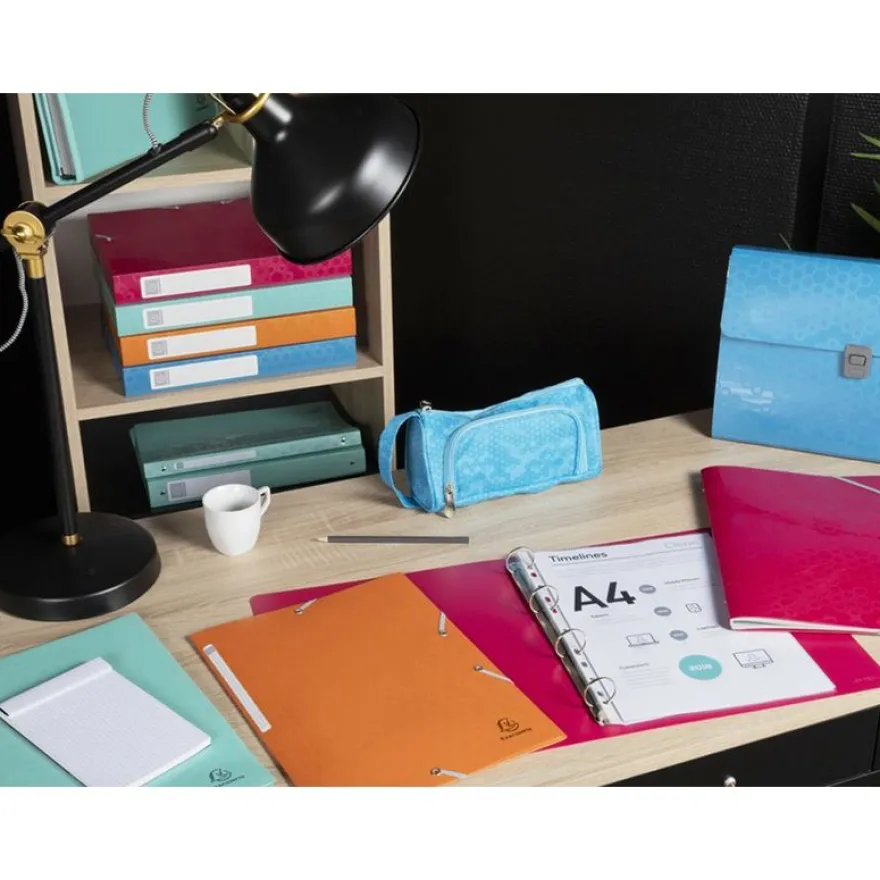 Exacompta MAÏA - Classeur à anneaux - Dos 20 mm - A4 - pour 140 feuilles - disponible dans différentes couleurs
