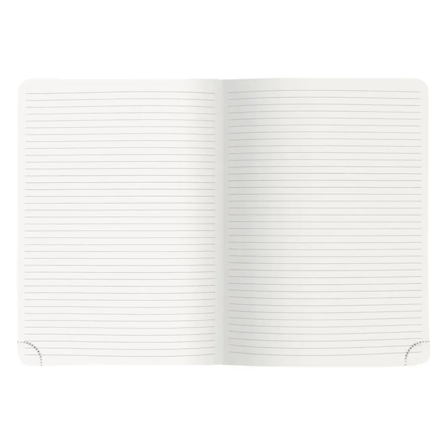 Exacompta Mini Labo All In One - Recharge pour bloc-notes - 150 x 210 mm - 32 feuilles / 64 pages - papier blanc - ligné - couverture bleue