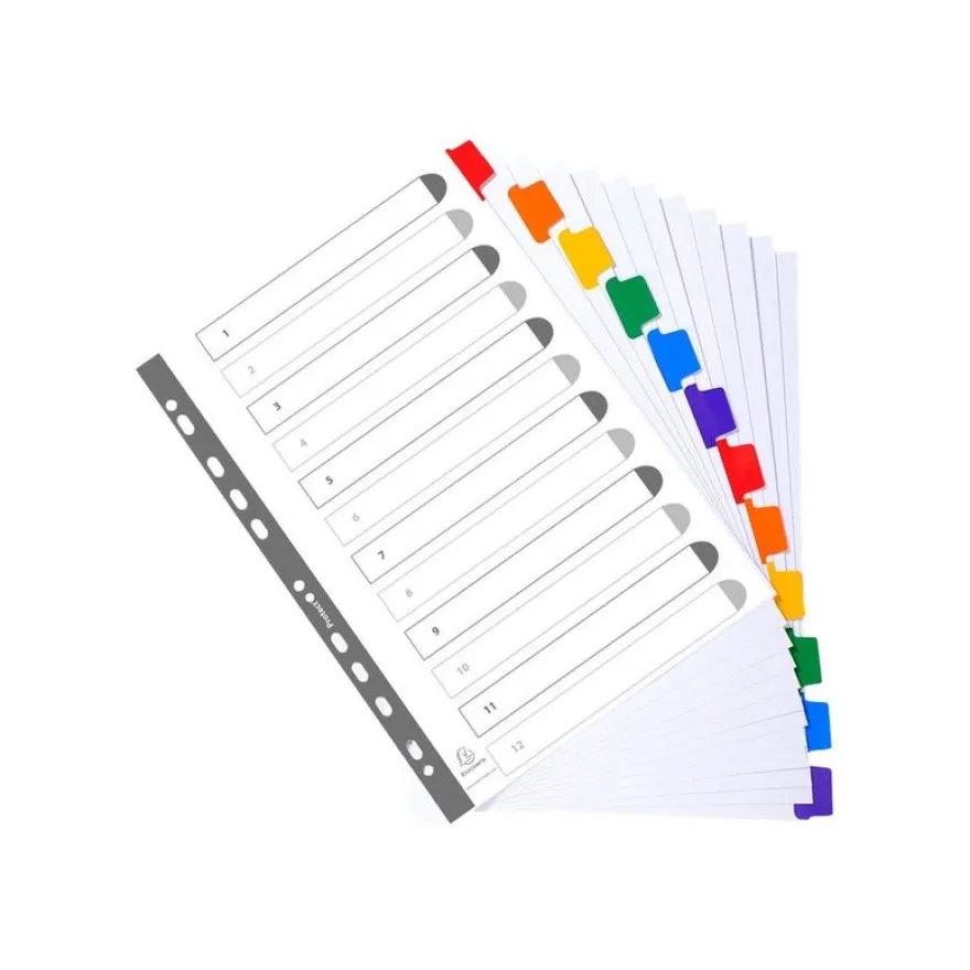 Exacompta Nature Future - Intercalaire 12 positions - A4 - carte blanche