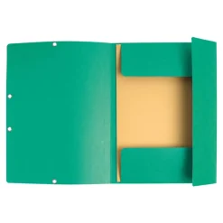 Exacompta Nature Future - 10 Chemises à 3 rabats - A4 - pour 250 feuilles - vert