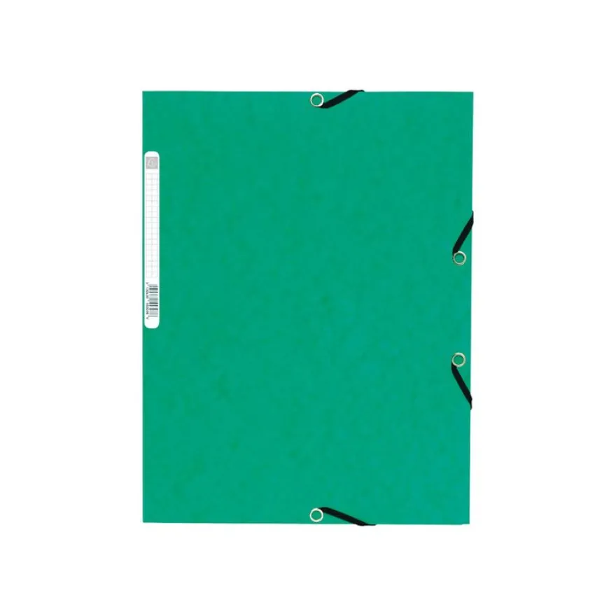 Exacompta Nature Future - 10 Chemises à 3 rabats - A4 - pour 250 feuilles - vert