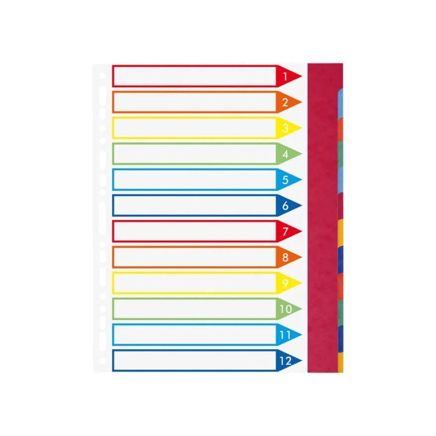 Exacompta Nature Future - Intercalaire 12 positions - A4 Maxi - carte rigide colorée