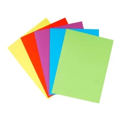 Exacompta Nature Future - 25 Chemises double poche - 220 gr - couleurs assorties