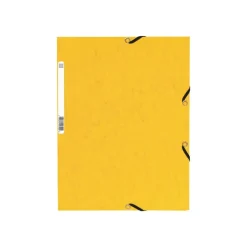 Exacompta Nature Future - 10 Chemises à 3 rabats - A4 - pour 250 feuilles - couleurs assorties