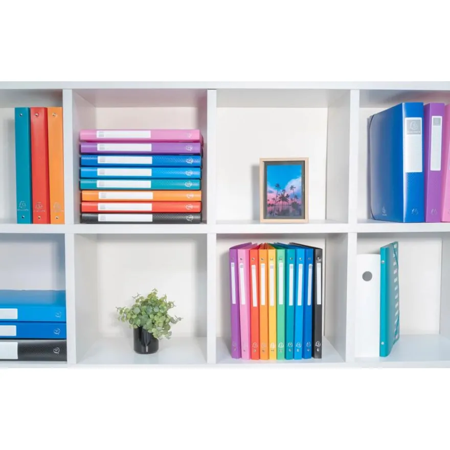 Exacompta OpaK -Classeur souple A4 rose – 2 anneaux 15 mm - polypropylène - capacité 140 feuilles