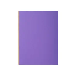 Exacompta Rock"s - 10 Chemises à soufflet - 320 gr - couleurs assorties