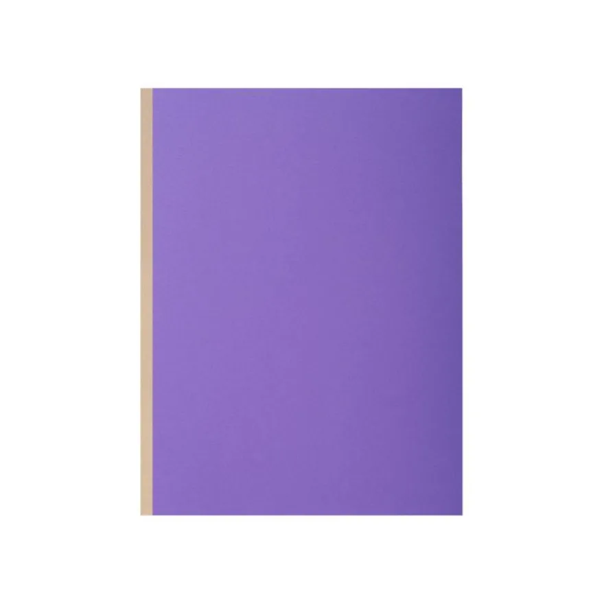 Exacompta Rock"s - 10 Chemises à soufflet - 320 gr - couleurs assorties