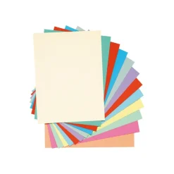 Exacompta Super 210 - 100 Chemises - 210 gr - couleurs assorties