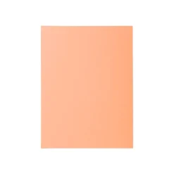 Exacompta Super 210 - 5 Chemises 2 rabats - 210 gr - couleurs pastels assorties