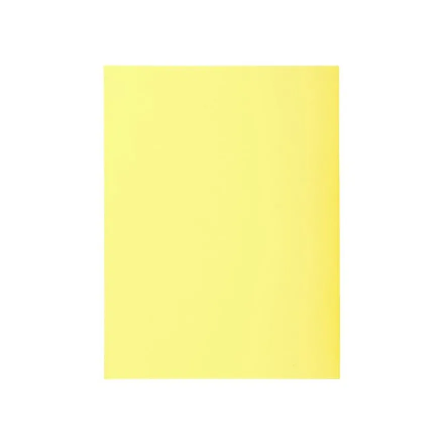 Exacompta Super 210 - 5 Chemises 2 rabats - 210 gr - couleurs pastels assorties