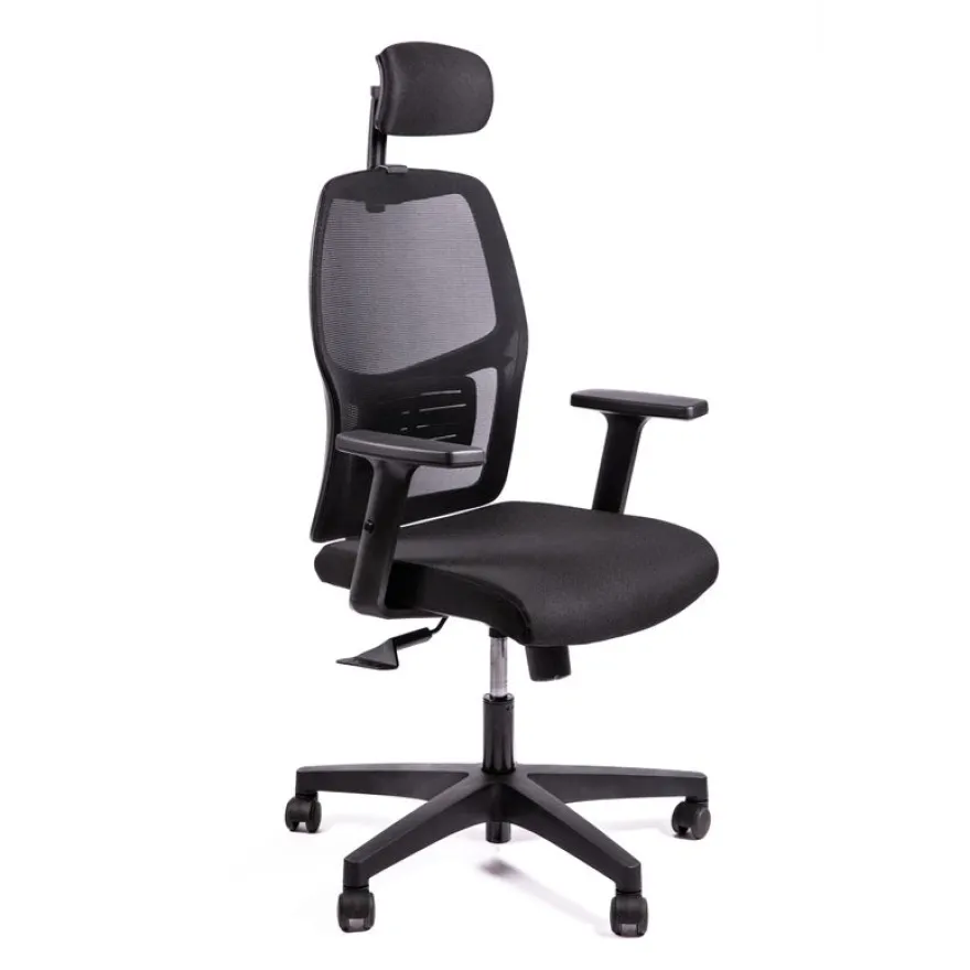 Fauteuil de bureau CALLIOPE - accoudoirs réglables - appui-tête - noir