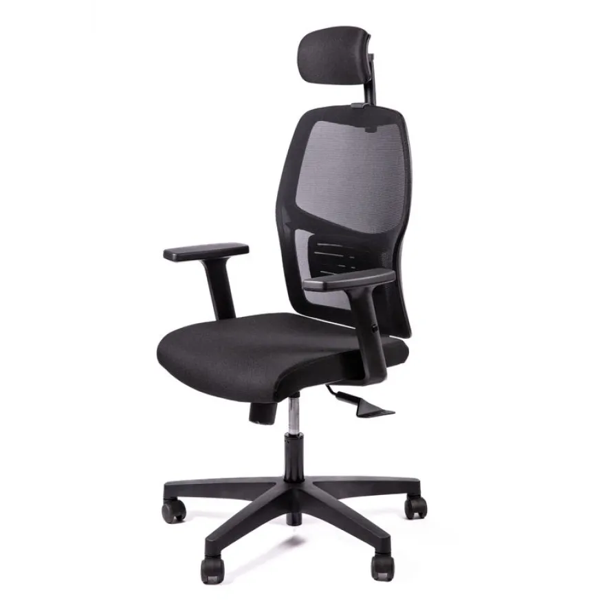 Fauteuil de bureau CALLIOPE - accoudoirs réglables - appui-tête - noir