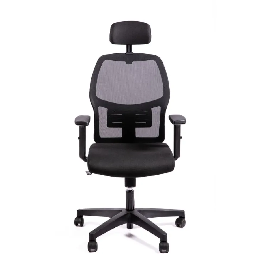 Fauteuil de bureau CALLIOPE - accoudoirs réglables - appui-tête - noir
