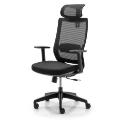 Fauteuil de bureau CASSIOPEA - accoudoirs - appuie-tête - noir