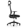 Fauteuil de bureau CASSIOPEA - accoudoirs - appuie-tête - noir