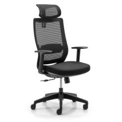 Fauteuil de bureau CASSIOPEA - accoudoirs - appuie-tête - noir