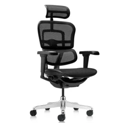 Fauteuil de bureau ERGOHUMAN Ultra - Assise résille - noir