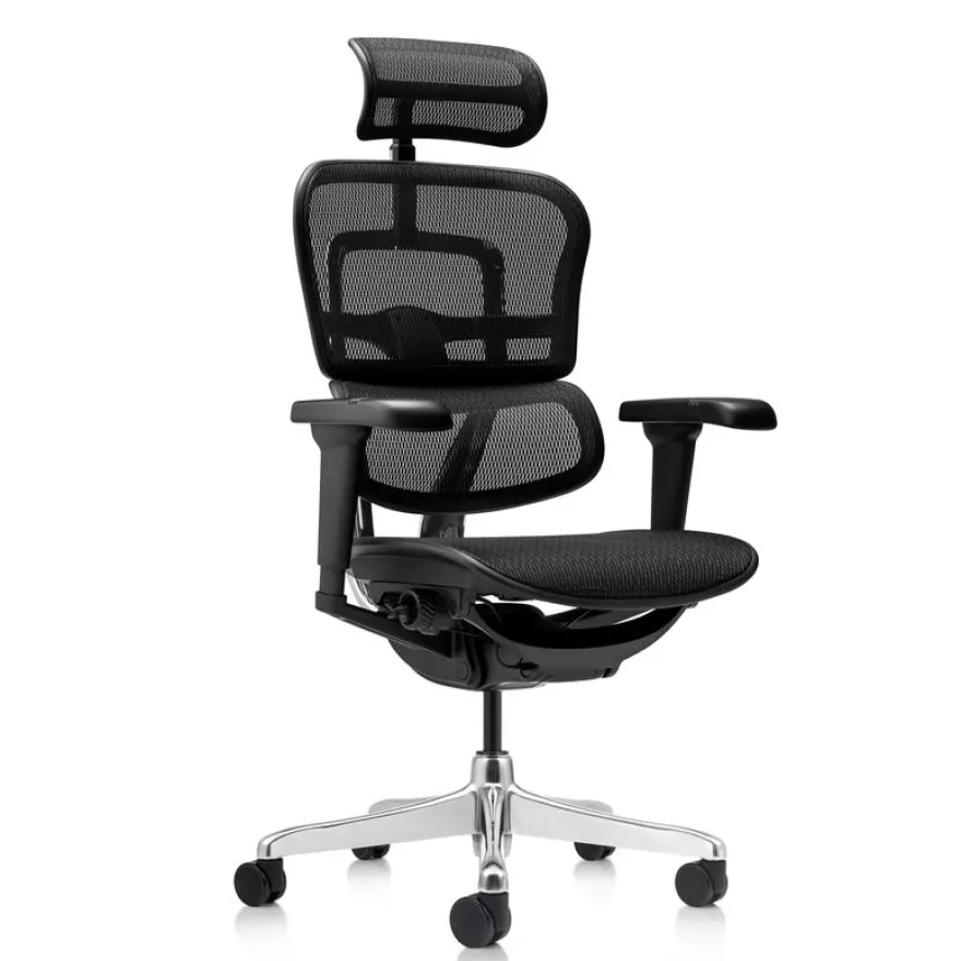 Fauteuil de bureau ERGOHUMAN Ultra - Assise résille - noir