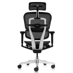 Fauteuil de bureau ERGOHUMAN Ultra - Assise résille - noir