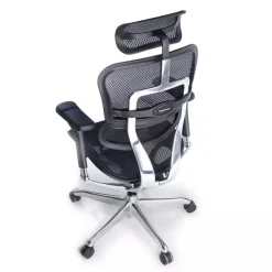 Fauteuil de bureau ERGOHUMAN Ultra - Assise résille - noir