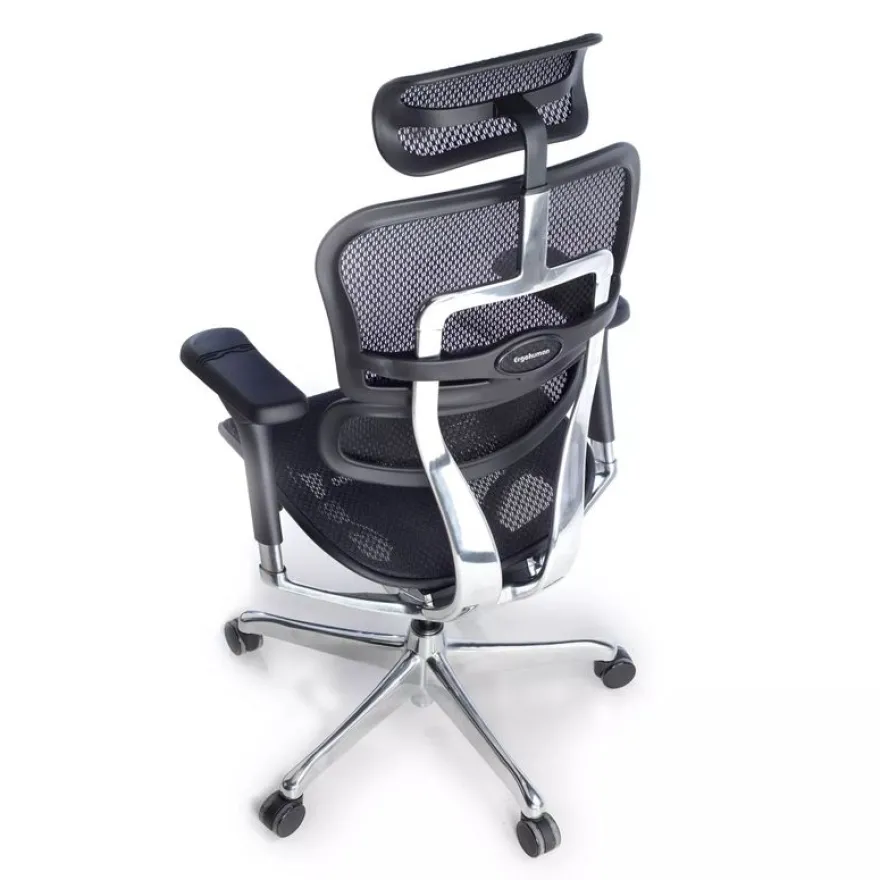 Fauteuil de bureau ERGOHUMAN Ultra - Assise résille - noir