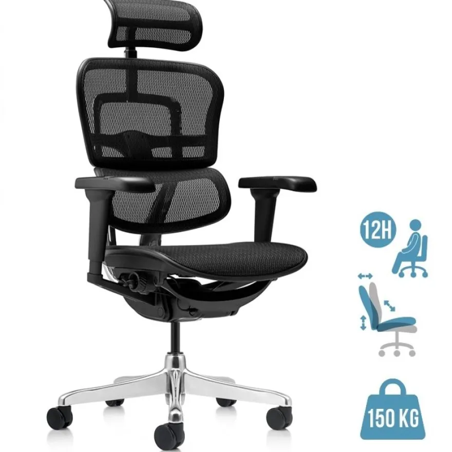 Fauteuil de bureau ERGOHUMAN Ultra - Assise résille - noir
