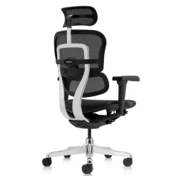 Fauteuil de bureau ERGOHUMAN Ultra - Assise résille - noir