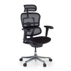 Fauteuil de bureau ERGOHUMAN Ultra - Assise tissu - noir