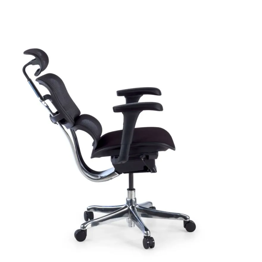 Fauteuil de bureau ERGOHUMAN Ultra - Assise tissu - noir