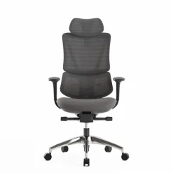 Fauteuil de bureau ERGOSTAR Ultra - accoudoirs réglables - Appui-tête réglable - noir
