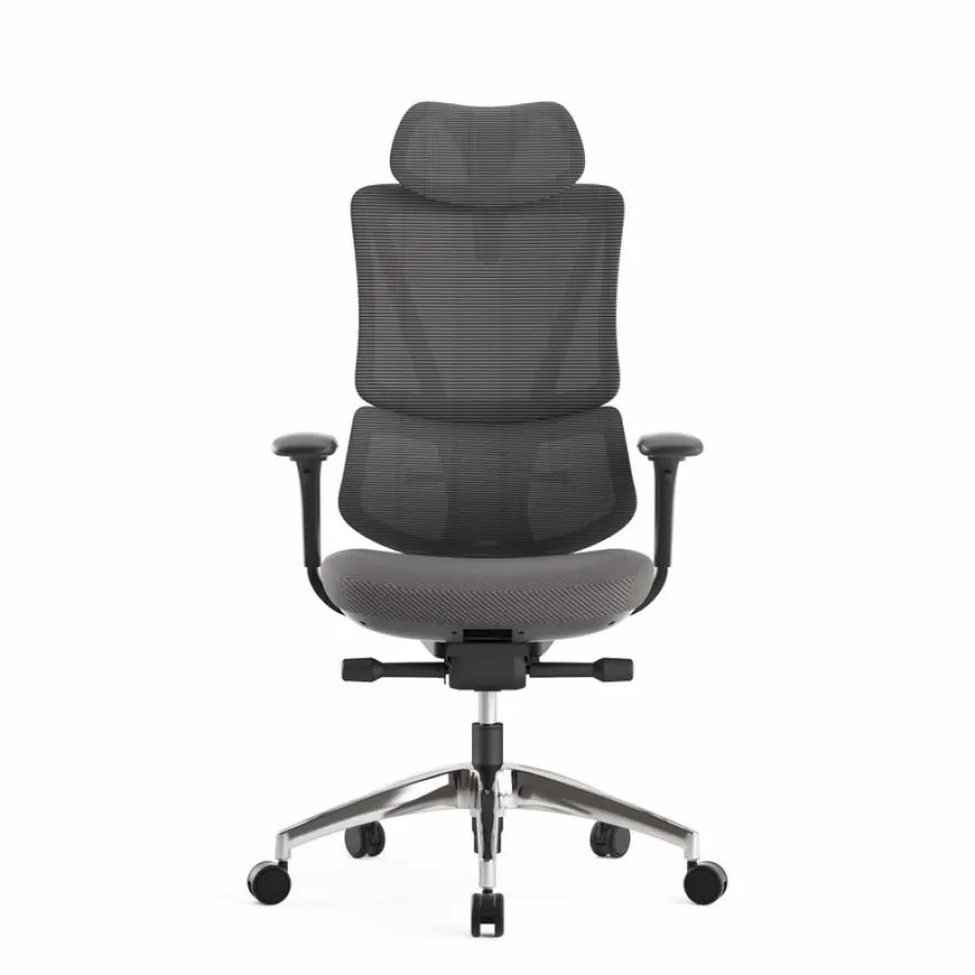 Fauteuil de bureau ERGOSTAR Ultra - accoudoirs réglables - Appui-tête réglable - noir