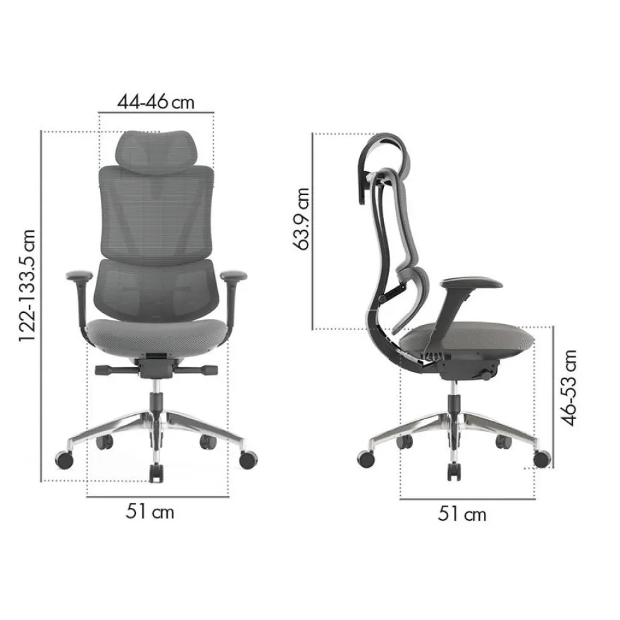 Fauteuil de bureau ERGOSTAR Ultra - accoudoirs réglables - Appui-tête réglable - noir