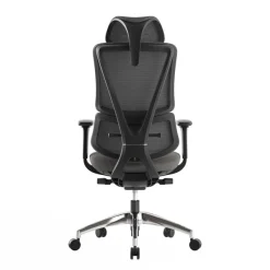 Fauteuil de bureau ERGOSTAR Ultra - accoudoirs réglables - Appui-tête réglable - noir