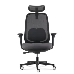 Fauteuil de bureau NELSON - accoudoirs réglables - appuie-tête réglable - noir