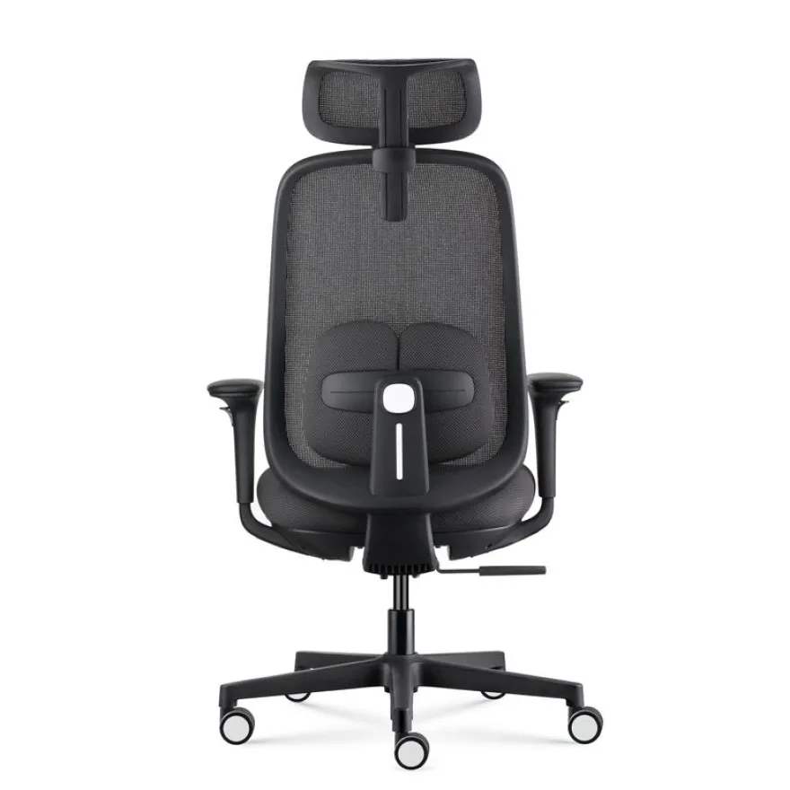 Fauteuil de bureau NELSON - accoudoirs réglables - appuie-tête réglable - noir