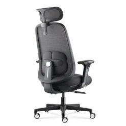 Fauteuil de bureau NELSON - accoudoirs réglables - appuie-tête réglable - noir