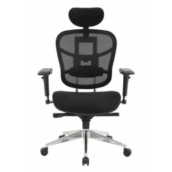 Fauteuil de bureau TECKNET - accoudoirs réglables - appuie-tête réglable - noir