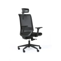 Fauteuil de bureau TECSY - accoudoirs réglables - Appui-tête réglable - noir