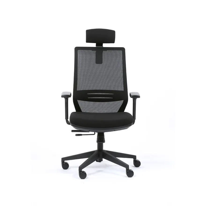 Fauteuil de bureau TECSY - accoudoirs réglables - Appui-tête réglable - noir