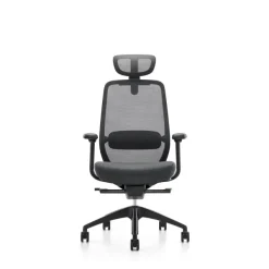Fauteuil de bureau ZEBULON - accoudoirs réglables - appui-tête réglable - noir