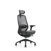 Fauteuil de bureau ZEBULON - accoudoirs réglables - appui-tête réglable - noir