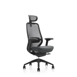 Fauteuil de bureau ZEBULON - accoudoirs réglables - appui-tête réglable - noir