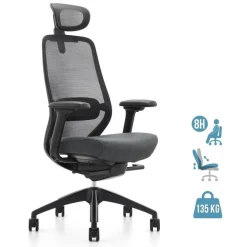 Fauteuil de bureau ZEBULON - accoudoirs réglables - appui-tête réglable - noir