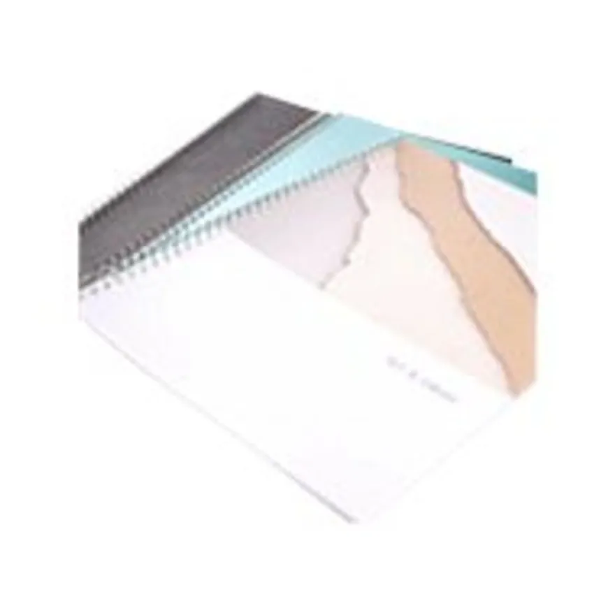 Fellowes - 100 anneaux de reliure en métal - 12 mm - jusqu'à 100 feuilles - argent