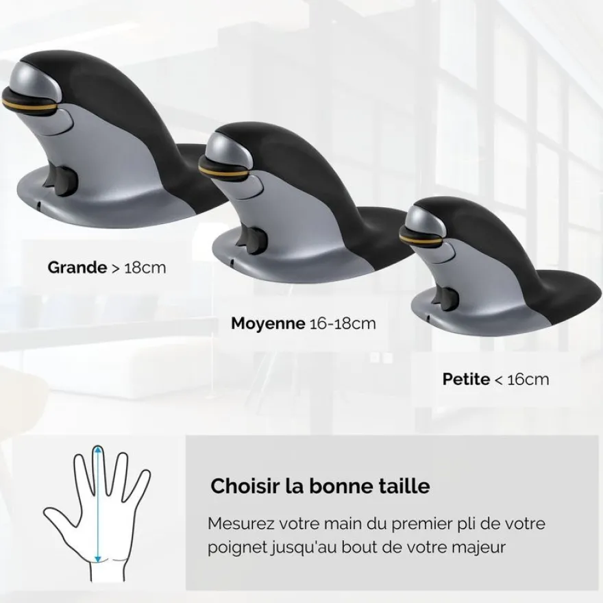 Fellowes - Souris sans fil ambidextre - Grand