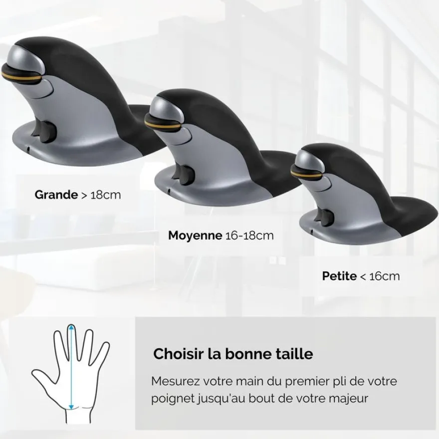 Fellowes - Souris sans fil verticale ambidextre - Medium