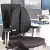 Fellowes - Support dorsal Angel - noir